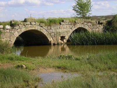 20080526202115-zamora-mayo-2008-13-18-132.jpg