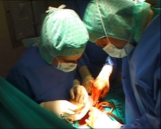 20090113005400-trasplantes.jpg