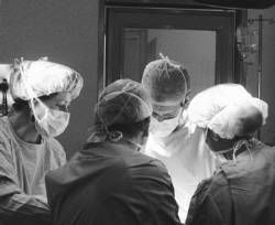 20090819084402-510459-2.jpg