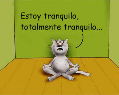 20090902101426-20090707091603-paciencia.jpg